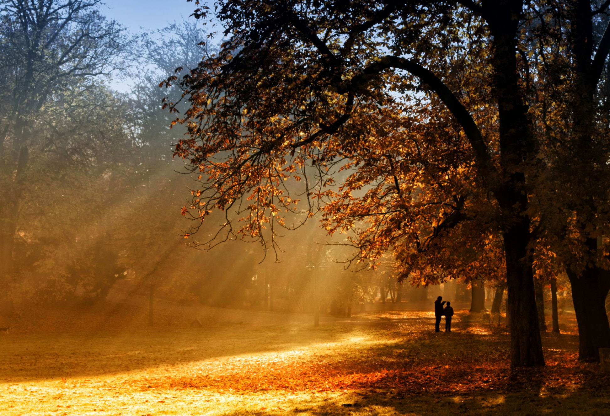 Herbst – Fest der Sinne - NATUR & HEILEN